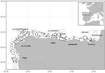 Spatio-Temporal Assessment of the European Hake (Merluccius merluccius) Recruits in the Northern Iberian Peninsula